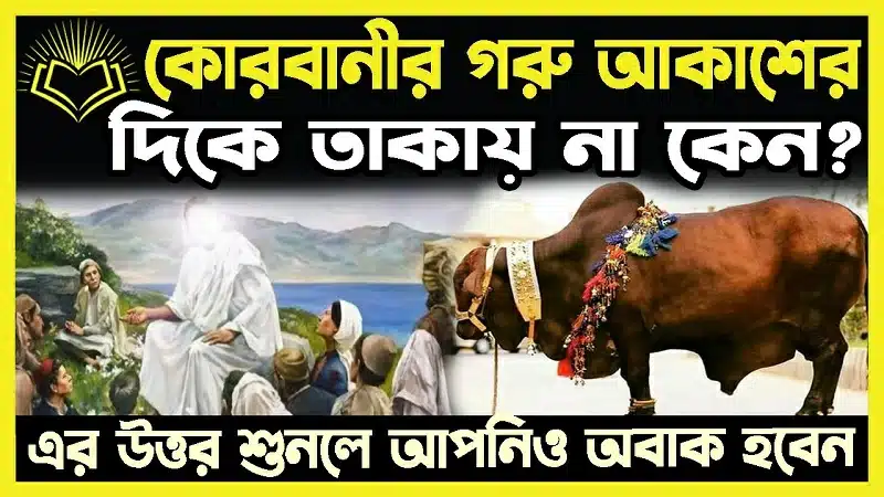 কোরবানী করতে ইচ্ছুক ব্যক্তির ওয়ালিমা বা বৌ-ভাত পালনেচ্ছু ব্যক্তির সাথে অংশীদার হওয়া এবং ওয়ালিমা-অনুষ্ঠানের যতটুকু না-হলে নয়