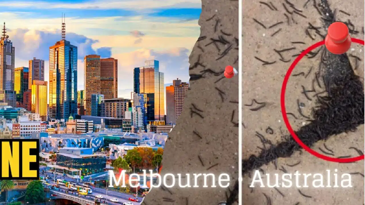 Melbourne • Australia