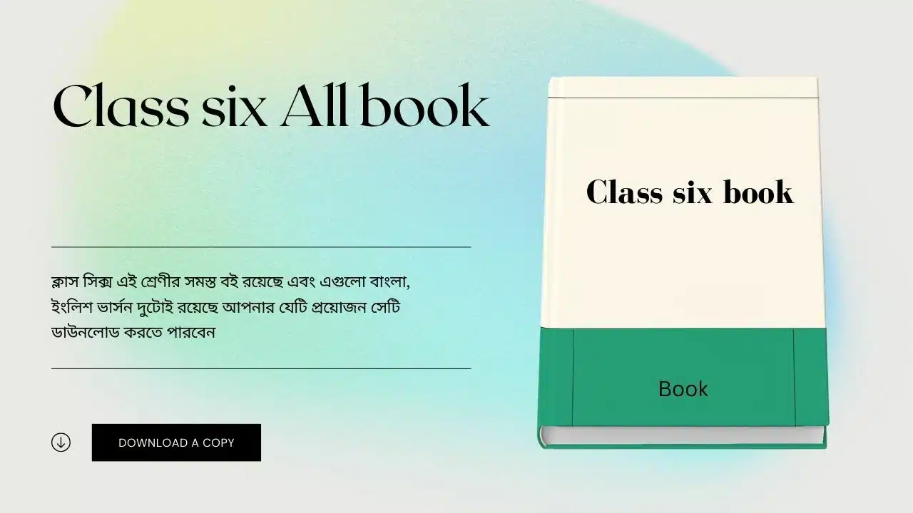 Class six All book