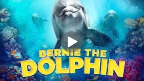 Bernie The Dolphin Movie