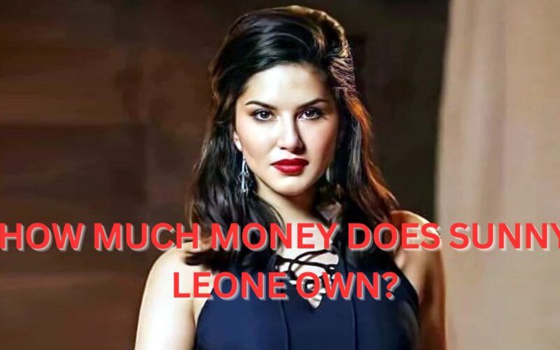 How much money does Sunny Leone own?